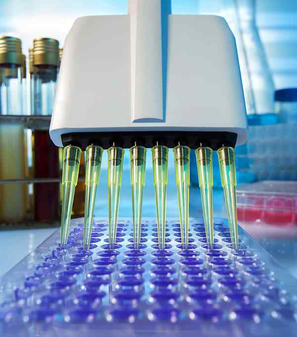 First Lab Molecular Our Services – CMAM