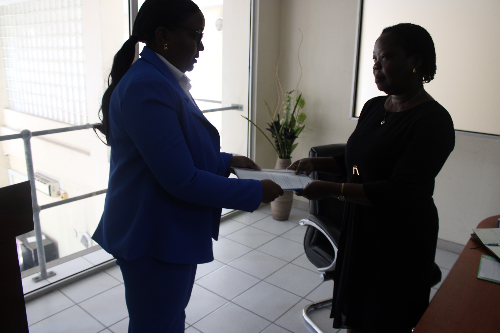 WhatsApp Image 2026-02-24 at 11.06.52