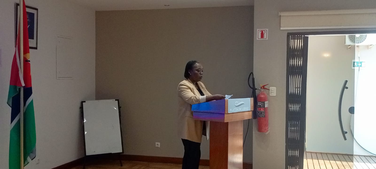 Directora Geral da CMAM, IP - Dra. Noémia Muíssa Escrivão Directora Geral da CMAM, IP - Dra. Noémia Muíssa Escrivão